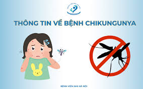 TUYÊN TRUYỀN PHÒNG CHỐNG BỆNH CHIKUNGUNYA